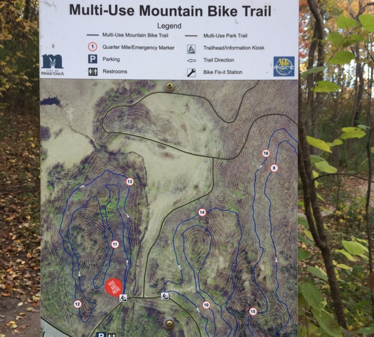 Lone Lake Park Mountain Bike Trails (Hopkins,&nbspMN)